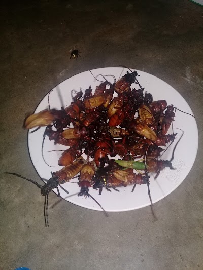 Photos of ห้องอาหารโพนจัน Ponjan Canteen