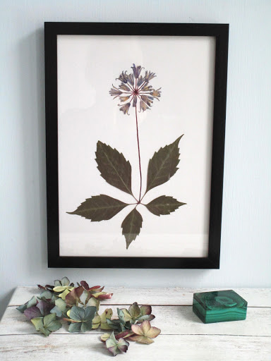 Birds-Blooms - Thumbnail