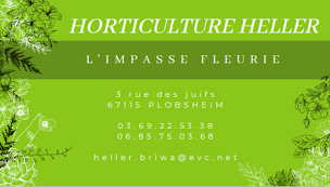 Photo n°6 de L'impasse fleurie - Horticulture HELLER à Plobsheim (Pépinière)