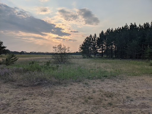 Red Pine Run - Visual