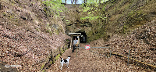 Parkplatz Arensberg Gallery - Germany