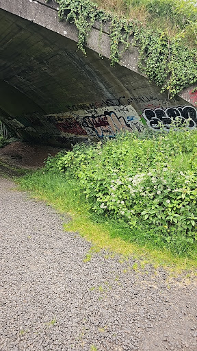 Three Mile Water pitches