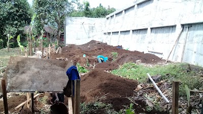 Photos of Banjaver