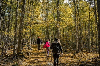 Photos of Ecoturismo Linares