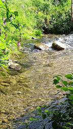Photo n°2 de Pisciculture de Montferrier à Montferrier (Ferme aquacole)