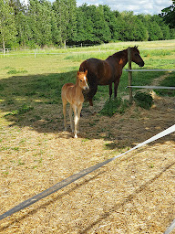 Photo n°13 de Chambres d'hôtes La Vallée à Mansigné (Chambre d'hôtes)