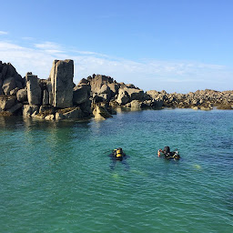 Photo n°2 de Armor Plongée à Saint-Quay-Portrieux (Club de plongée)