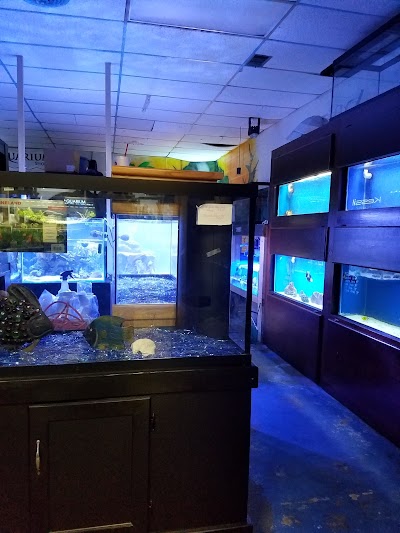 Aquarium Shoppe