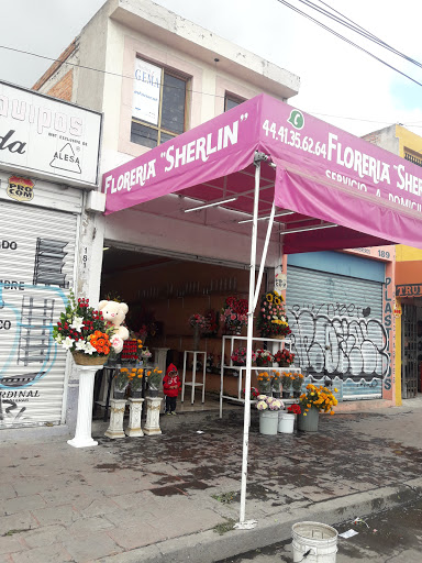 Florería Sherlyn en San Luis Potosí - Thumbnail