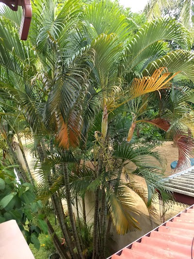 Photos of SA Village
