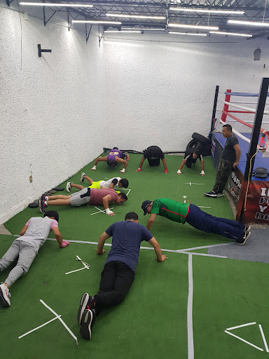 Guerreros Box Center - Thumbnail