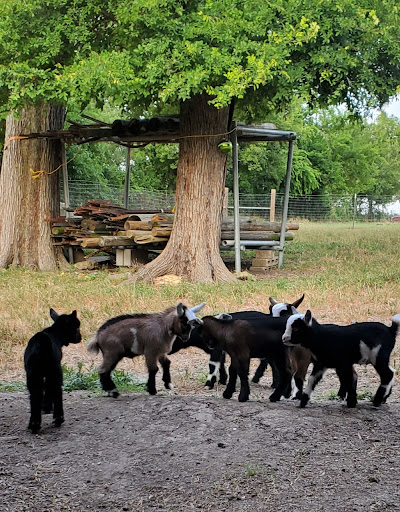 Moose & Goose Winery - Thumbnail