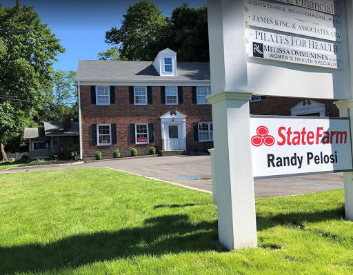 Randy Pelosi - State Farm Insurance Agent - Thumbnail