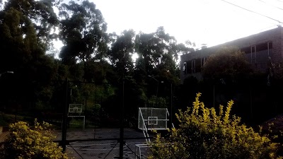 Photos of FAMARENA