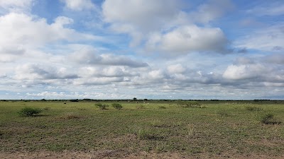 Photos of South camp Nxai Pan