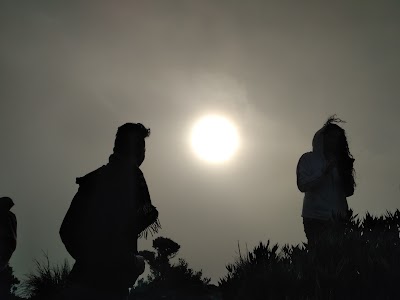 Photos of Tapant&iacute; National Park