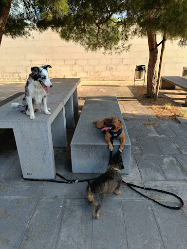 Hotel para perros Perretes - DogTrainer