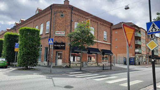 Olgas Hus - Visual