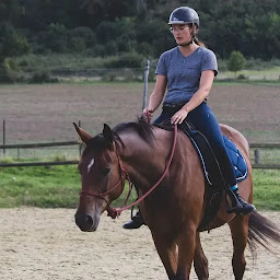 Photo n°1 de Centre Equestre du Lonval à Bonneuil-en-Valois (Pension pour chevaux)