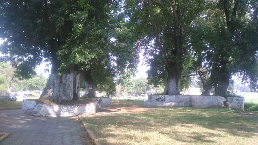 Xhala Park - Thumbnail