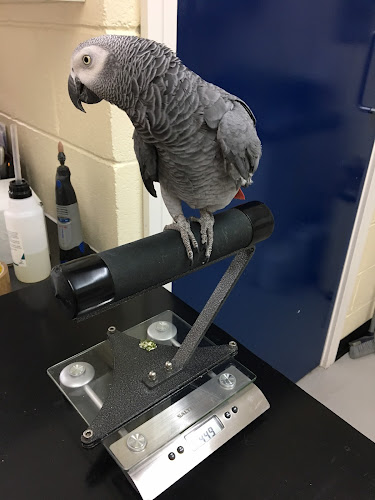 Avian Veterinary Services