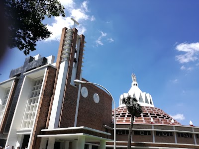 Photos of Seminario Conciliar