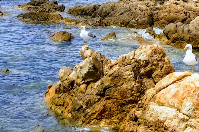 Visit Spiaggia Nodu Pianu On Your Trip To Golfo Aranci Or Italy