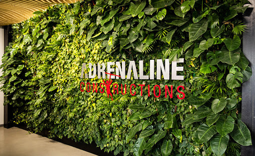 Adrenaline Constructions