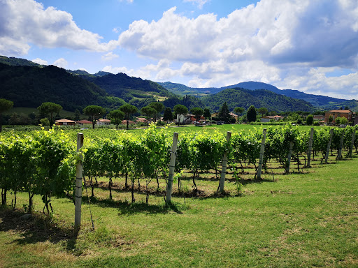 Tenuta Casali - Thumbnail