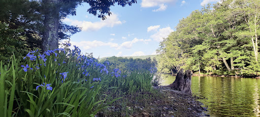 Schenevus Lake Park - Thumbnail