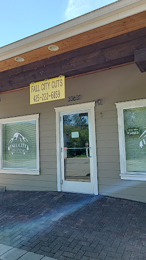 Fall City Cuts - Visual