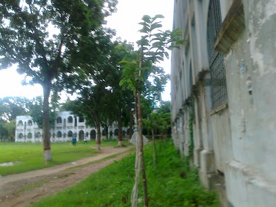 Photos of S. M. Hall