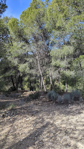 Coll de Sentig - Visual