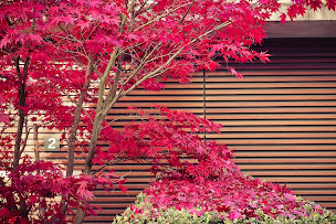 Photo n°1 de Jardins à croquer à Annecy (Architecte paysagiste)