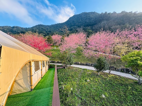 星空漫漫 Starry sky