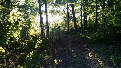 Photos of Ecofiest Yurts