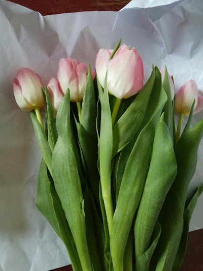 Photos of Floweridea