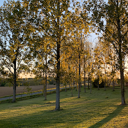 Photo n°6 de Gite de Perrot à Bouglon (Agence de location de maisons de vacances)