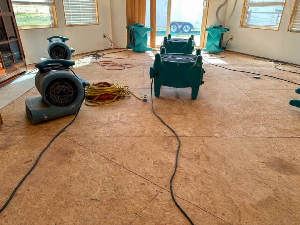 Reliable Carrollton Water Damage Restoration & Mold Removal Experts photo