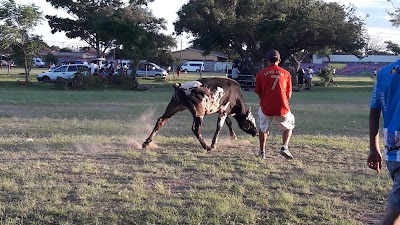 Photos of LIGA DEPORTIVA SAN ISIDRO