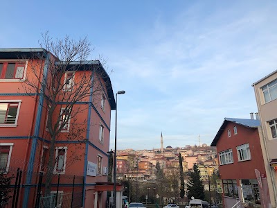 Münevver Ayaşlı Çocuk Akademisi