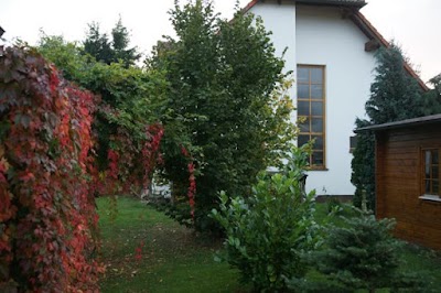 Photos of Ferienhaus Uthausen