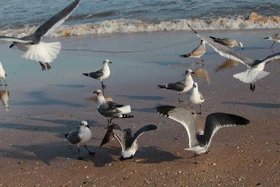 Surfside Beach