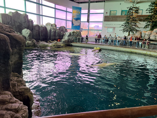 Shedd Aquarium Store Gallery - United States