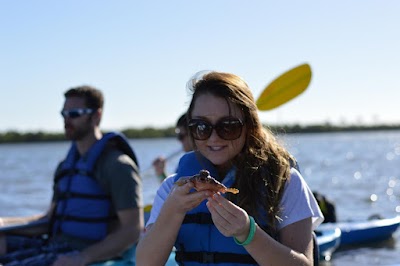 Photos of Paddle Marco