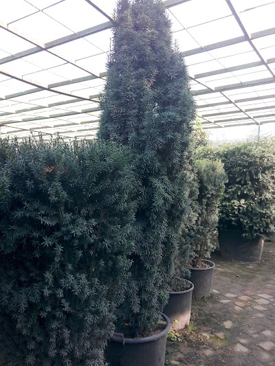 Photos of Lider Botanic