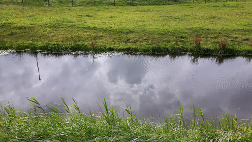 Camping Zonnehoeve Camping Zonnehoeve - Thumbnail