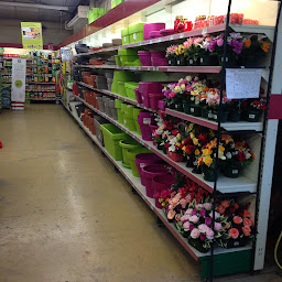 Photo n°12 de Point Vert - Hayange à Hayange (Jardinerie)