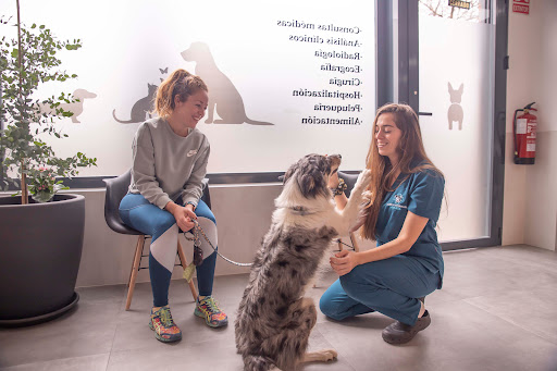 Clínica Veterinaria Goleta