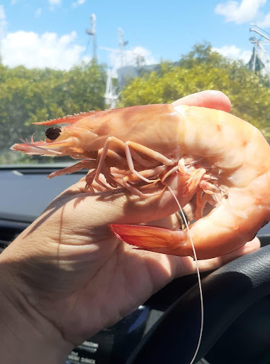 Jo-Anne Premium Seafoods - Thumbnail